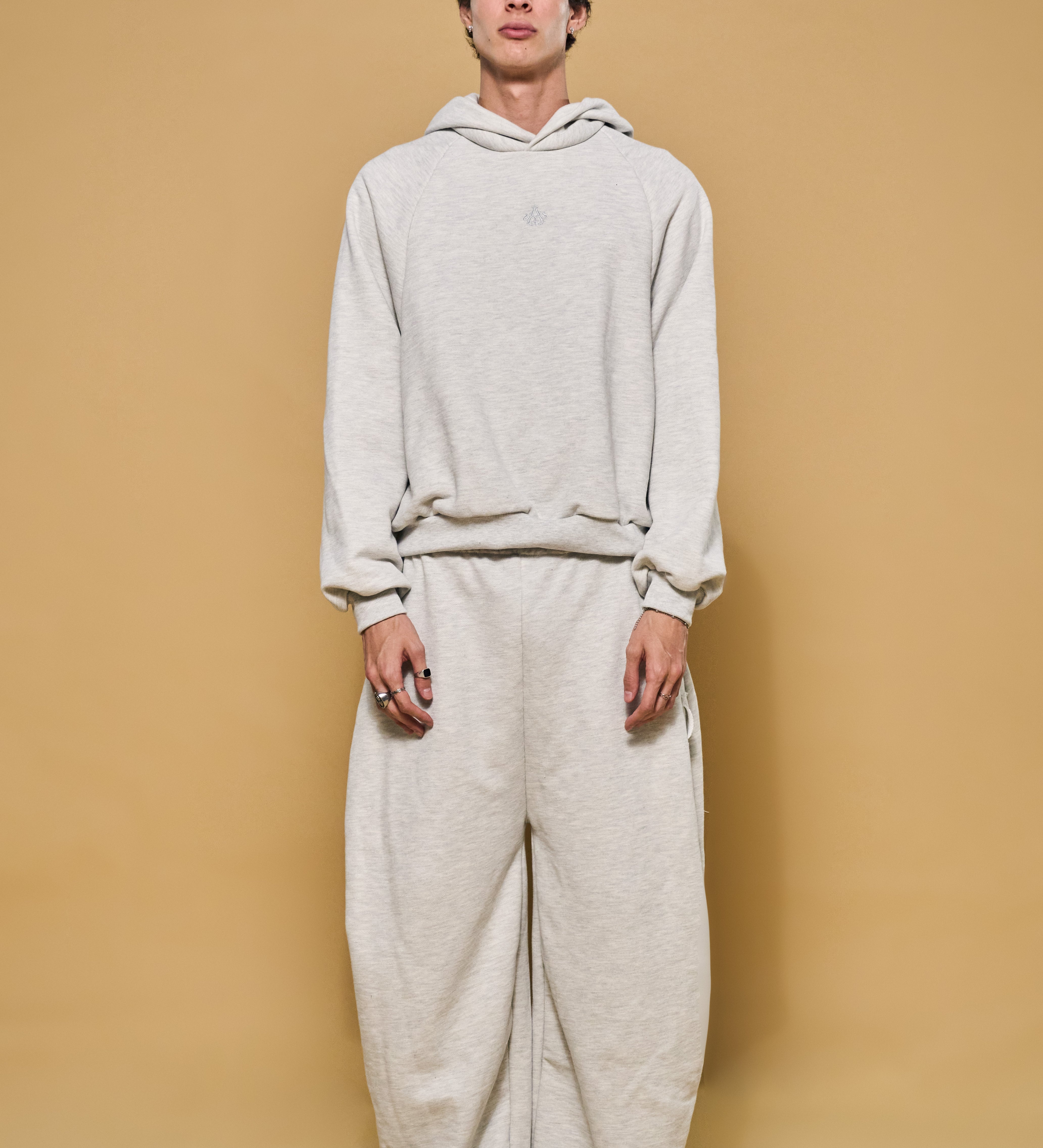 Basics V3 - Thepra V3 Hoodie