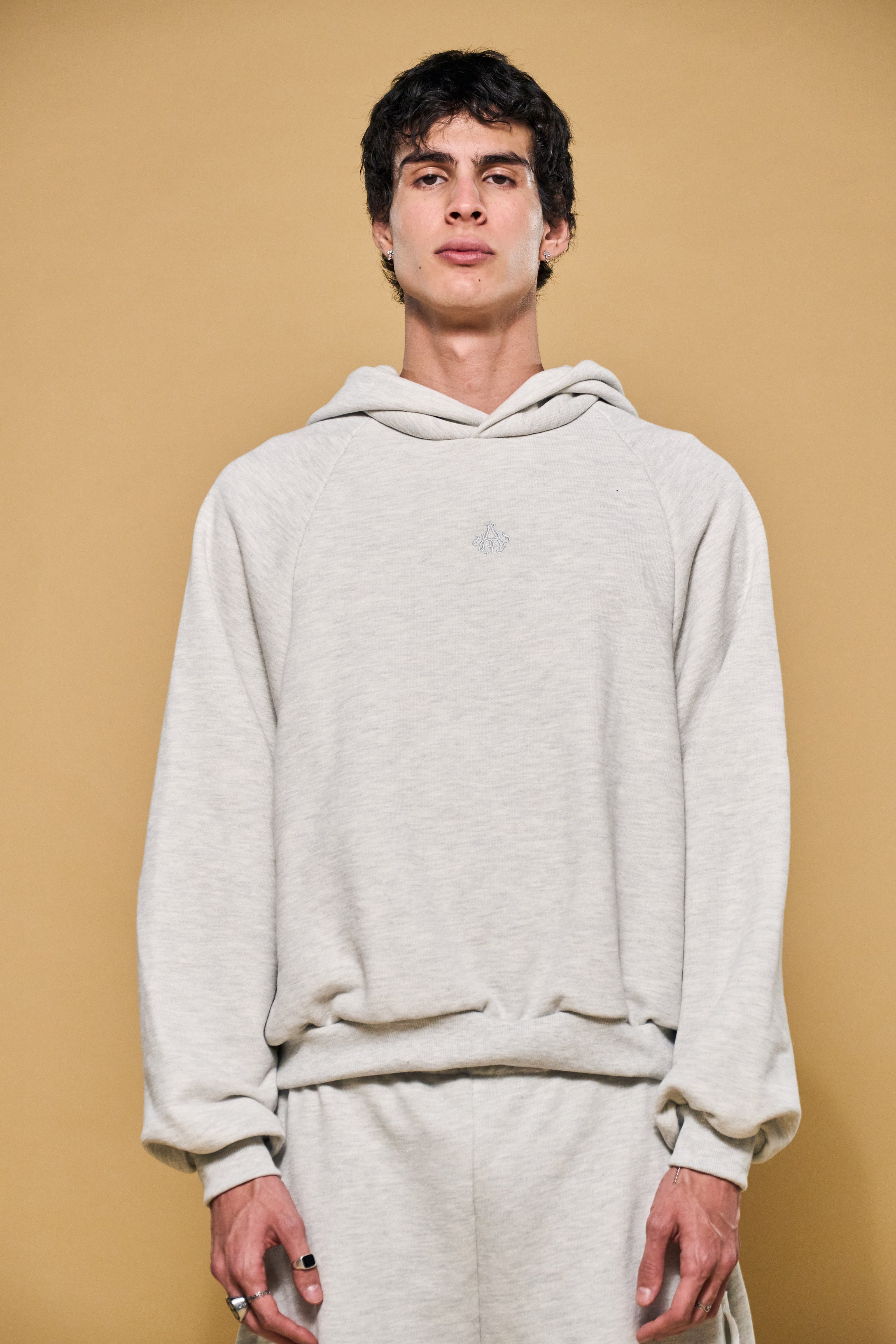 Basics V3 - Thepra V3 Hoodie