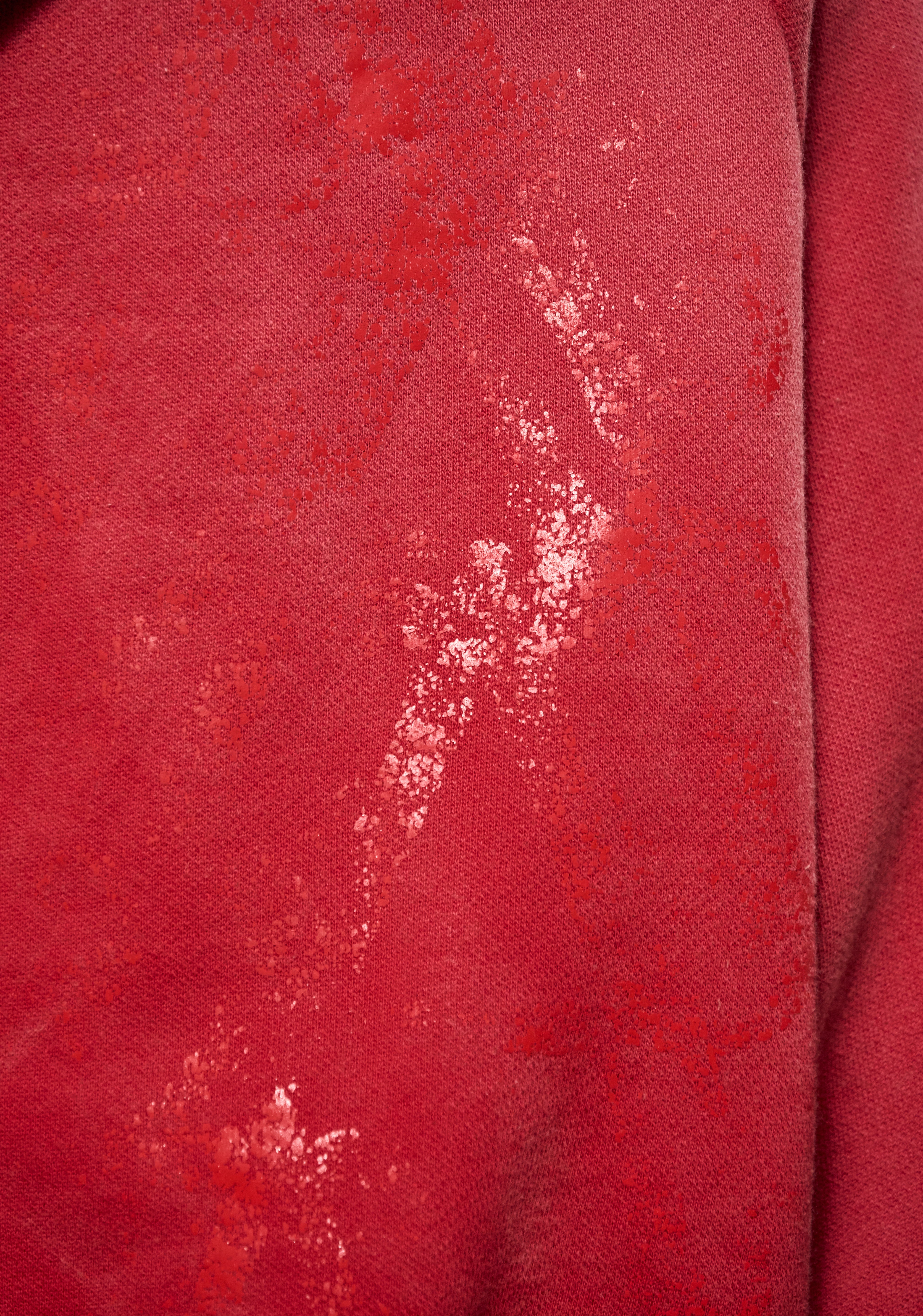 Imagen de diapositiva