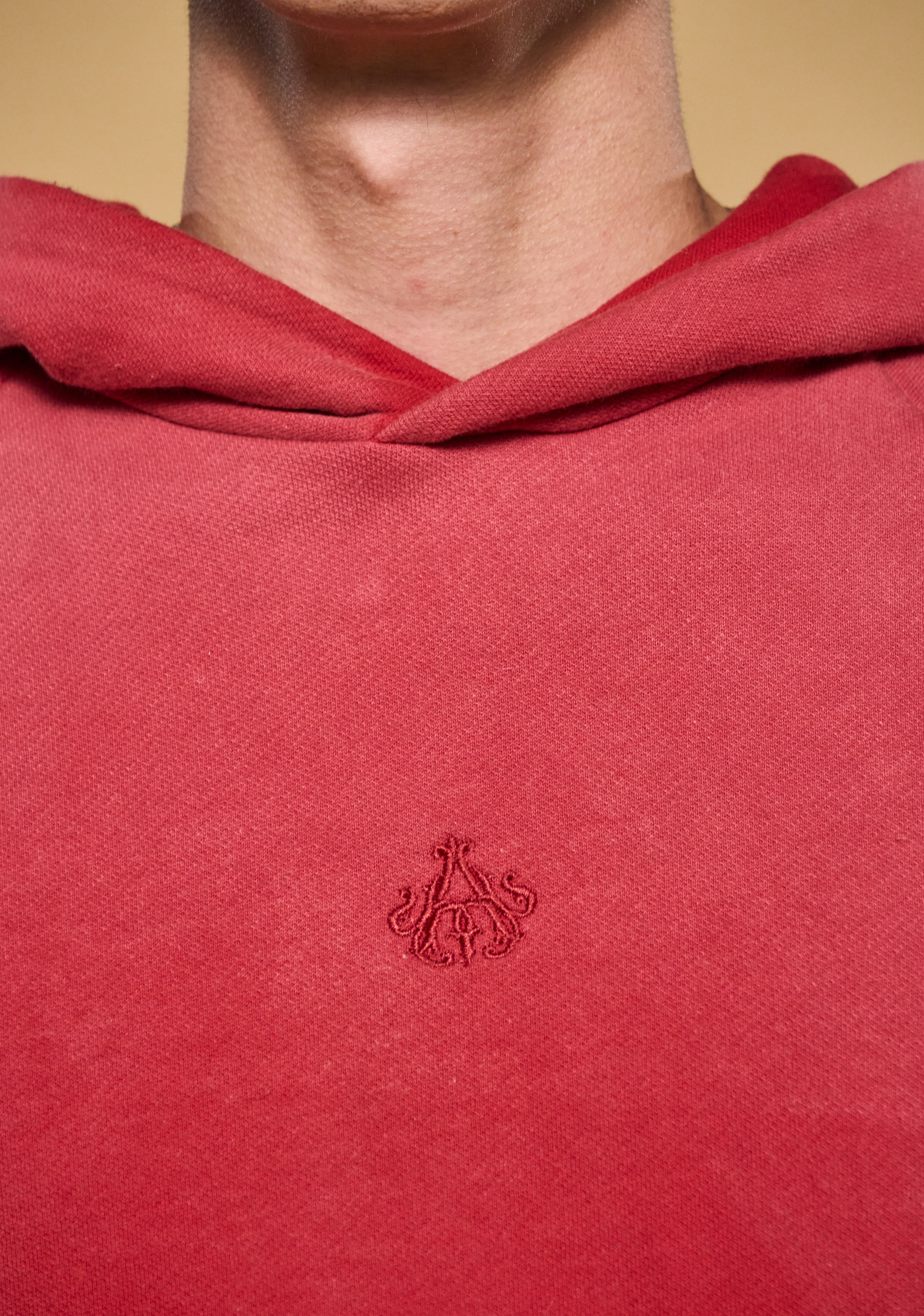 Imagen de diapositiva